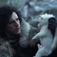 Game of Thrones fan is raising money to make sure Ghost is in Season 8