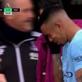 Gabriel Jesus was absolutely distraught by his injury which forced him off against Crystal Palace