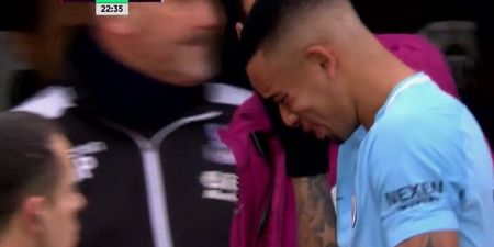 Gabriel Jesus was absolutely distraught by his injury which forced him off against Crystal Palace