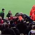 Alan Pardew to speak to Jake Livermore after incident with West Ham fans