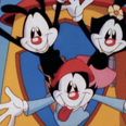 The Animaniacs are officially coming back