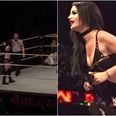 British WWE superstar Paige reportedly forced to retire after kick to back