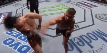 WATCH: Jeremy Stephens absolutely levels Doo Ho Choi with ferocious knockout
