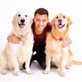 Exclusive interview with Alexis Sánchez’s dogs, Atom and Humber