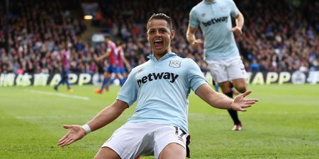 Javier Hernandez is reportedly close to completing a move to Besiktas