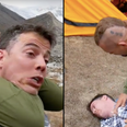 Steve-O gets choked out by MMA fighter in shocking new video