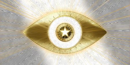 The winner of Celebrity Big Brother has been revealed