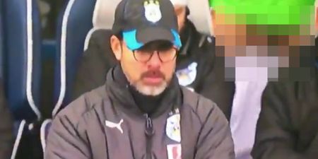 Huddersfield substitute inadvertently exposes himself on live TV