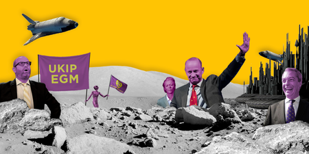 Inside the UKIP supernova