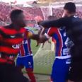 Punches fly in Brazilian match as ridiculous number of red cards are dished out
