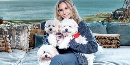 Barbra Streisand has cloned her dead dog into two new dogs
