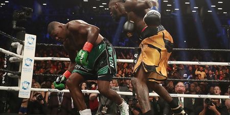 Deontay Wilder wilder than ever as he stakes claim for ‘AJ’ fight with epic finish