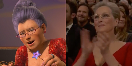Meryl Streep looks like Fairy Godmother from Shrek at Oscars