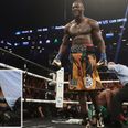 Nobody was more shocked by Deontay Wilder’s TKO than the ring girls