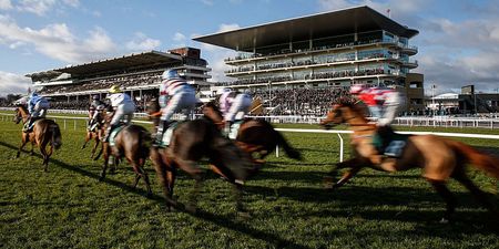 Cheltenham 2018: The 12 golden rules to surviving horse racing’s biggest festival