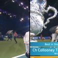 WATCH: Pitch invader causes chaos at Crufts