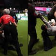 A group has claimed responsibility for the pitch invasions at Crufts