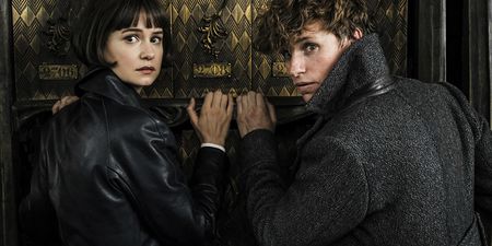Evil is on the rise in the first trailer for Fantastic Beasts: The Crimes Of Grindelwald