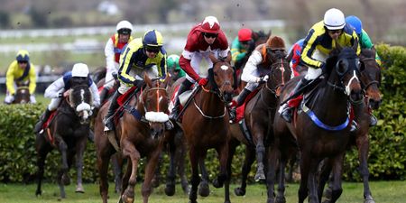 Quiz: Are these Cheltenham horse names real or fake?