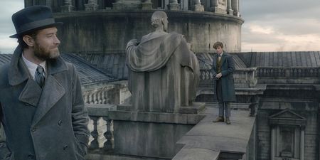 Harry Potter fans think they may have noticed a massive plot-hole in the new Fantastic Beasts trailer