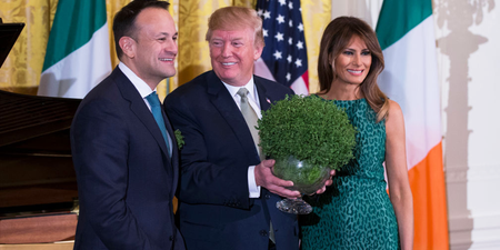Exclusive interview with the bowl of shamrock that was presented to President Trump