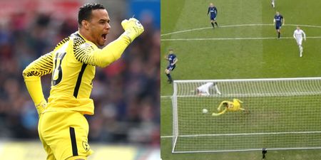 WATCH: Michel Vorm channels his inner De Gea with incredible double save