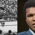 WATCH: Muhammad Ali’s perfect reply to being told ‘not all white people are racist’