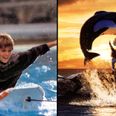 Jesse from Free Willy has returned to acting and is worth a fortune