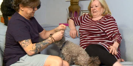 Gogglebox viewers furious with Stephen Webb’s treatment of his dog last night