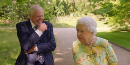 Essential highlights from The Queen’s Green Planet documentary