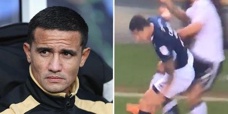 Tim Cahill avoided a red card despite landing an elbow on Fulham player