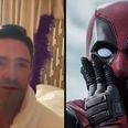 Deadpool hilariously interrupted Hugh Jackman while he was recording a birthday message