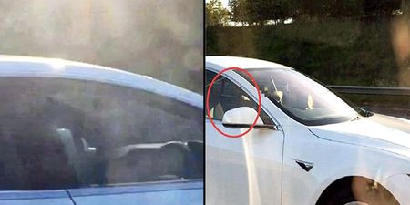 Man banned from driving for riding Tesla down motorway in passenger seat