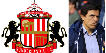 Chris Coleman leaves Sunderland as they confirm change of ownership