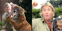 Steve Irwin’s son appeared on a US talk show and he’s exactly like his father