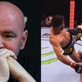 Dana White callously cuts very exciting prospect for turning down fights
