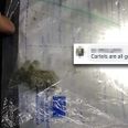 Police threaten to arrest FB users mocking minuscule cannabis seizure