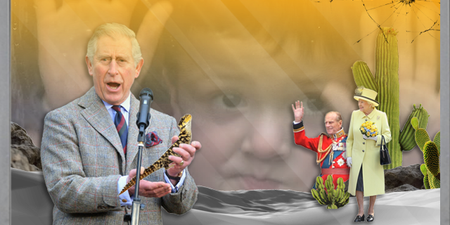 Ranking the members of the Royal Family by how likely they are to be a lizard