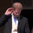 Prince Harry attacked by a bee during speech and Meghan had brilliant response