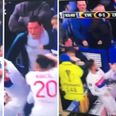 Everton fan who attacked Lyon players while holding son has been jailed