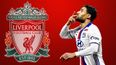 Liverpool respond to rumours of Nabil Fekir medical