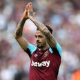 Manuel Lanzini could miss all of next season with knee injury