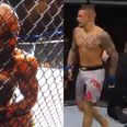 Eddie Alvarez brutally knocked out after making truly awful error