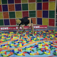 Fly ruins domino world record attempt after agonising set up