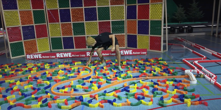 Fly ruins domino world record attempt after agonising set up