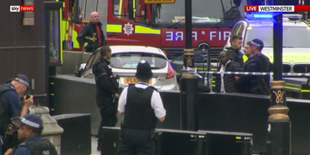 Nobody injured in House of Parliament car crash is in “a life-threatening condition”