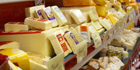 You can now be paid to be a professional cheese eater