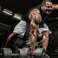 Four ways bodybuilding boosts your functional fitness
