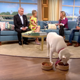 Woman who insisted her dog is vegan proved wrong on live TV