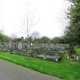Young man shot dead in north London cemetery